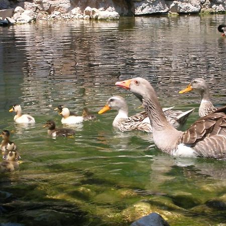 Adrasan River Hotel Kumluca Екстериор снимка